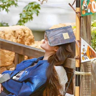 夜阑卧听风吹雨